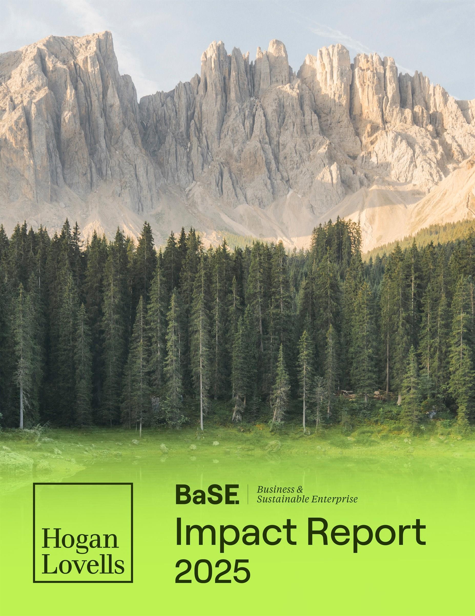 Summary Impact Report 2025